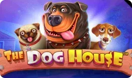 Wonderluck – The Dog House